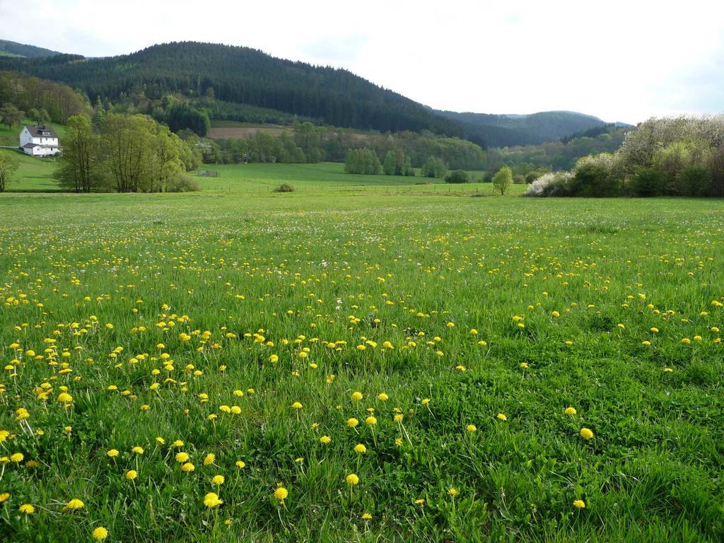 Landhaus Lenneper-Fuehrt Kirchhundem Kültér fotó